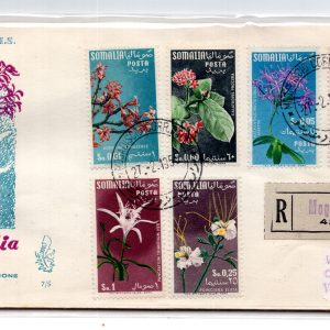 Somalia AFIS FDC Venetia 1955 Flora  viaggiata Racc. per l'Italia