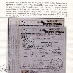 Tripolitania - Segnatasse Vaglia Cent. 50 n. 3a soprastampa capovolta