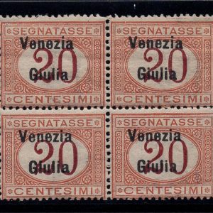 Venezia Giulia - Segnatasse 20 c. lettera "a" di carattere diverso MNH