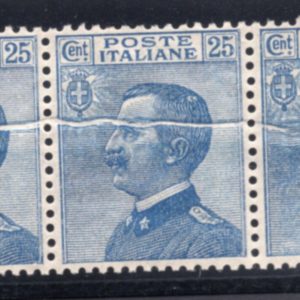 Michetti Cent. 25 n. 83 varietà piega di carta nella stampa - MNH