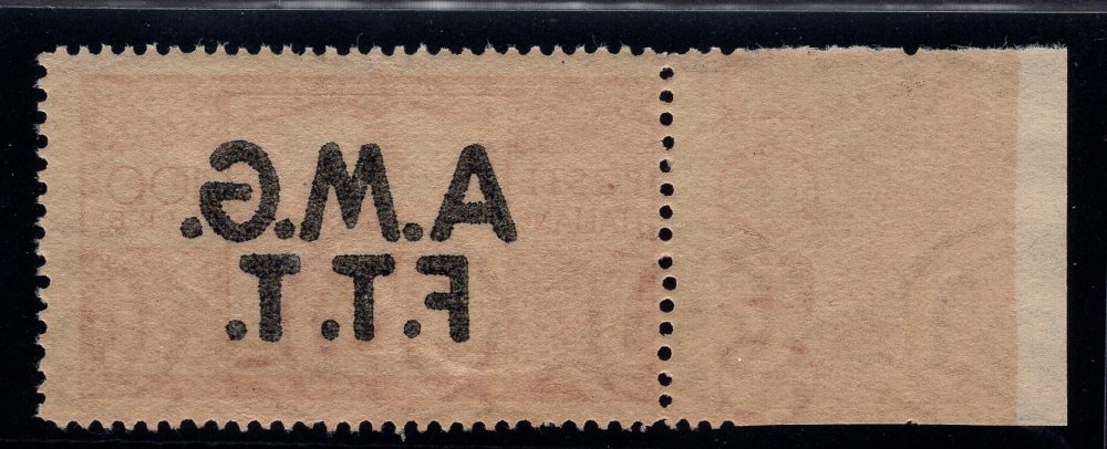 Trieste A - Democratica Lire 100 n. 17g decalco - MNH
